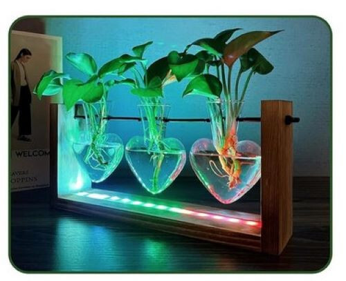 Plant Starter Heart Shaped – Decorative Color Lighted Cuttings