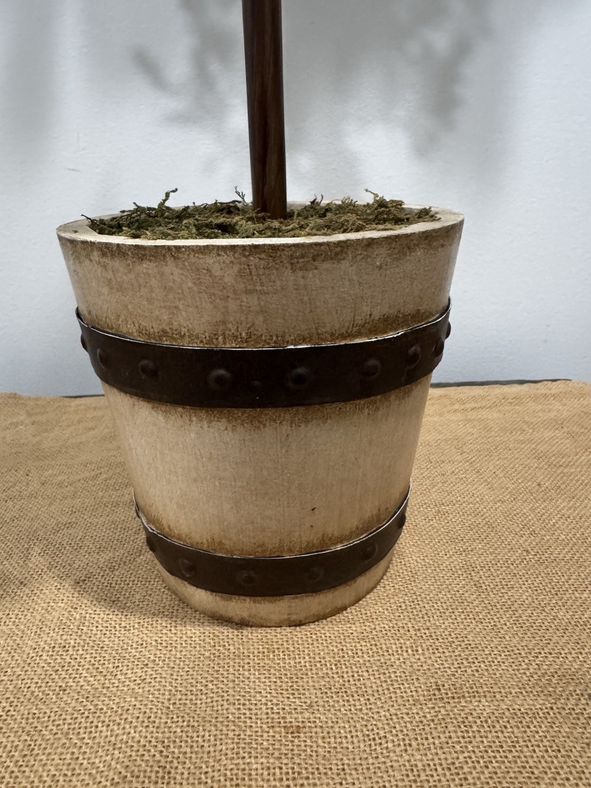 Olive Tree Topiary Tree