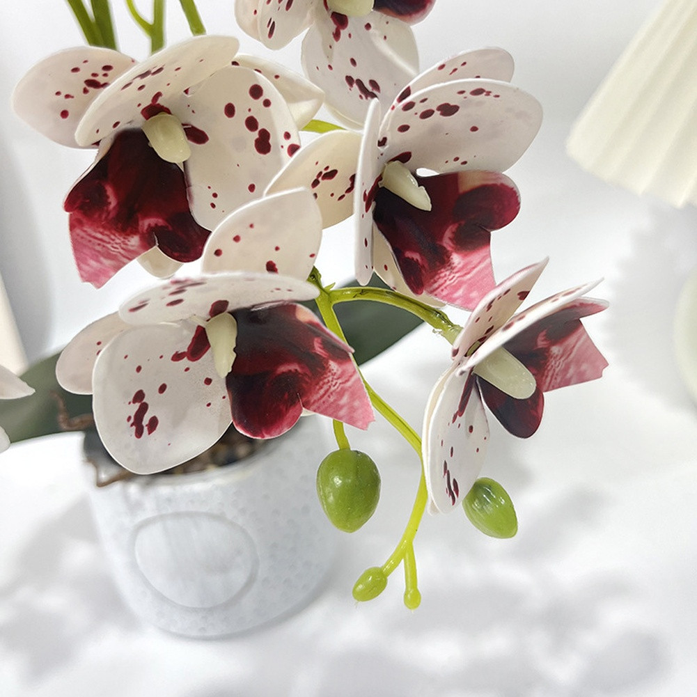 Synthetic Butterfly Orchid in Matte Cement Pot for Modern Farmhouse Decor Style