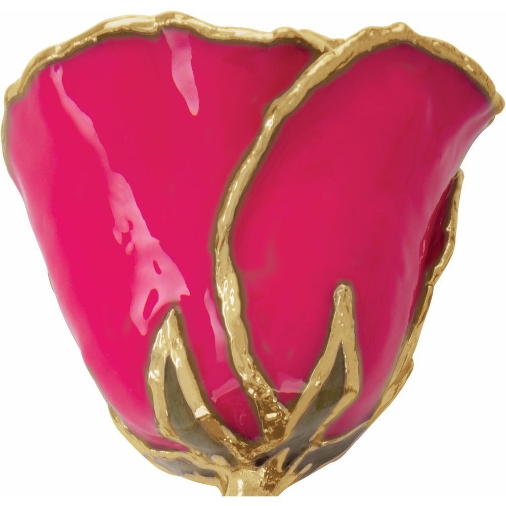24k Gold Dipped Magenta Lacquer Real Rose Valentine’s Day Holiday Gift