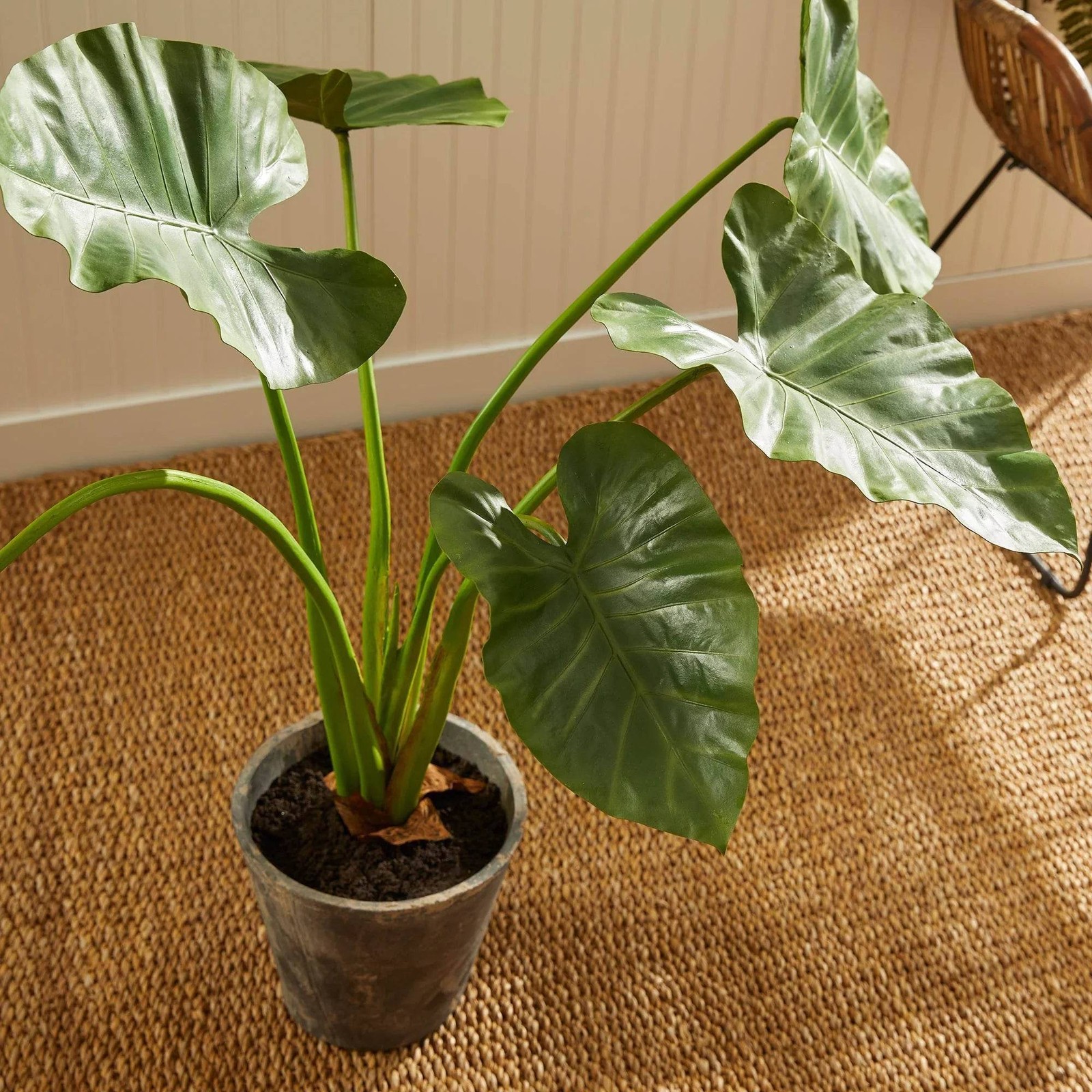 Artificial Elephant Ear Plant – Organic Design, 42″ Tall