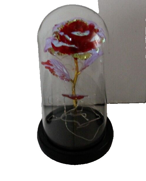 Red Eternal Rose w LED Lights in Glass Dome Mothers Valentines Anniversary Gift
