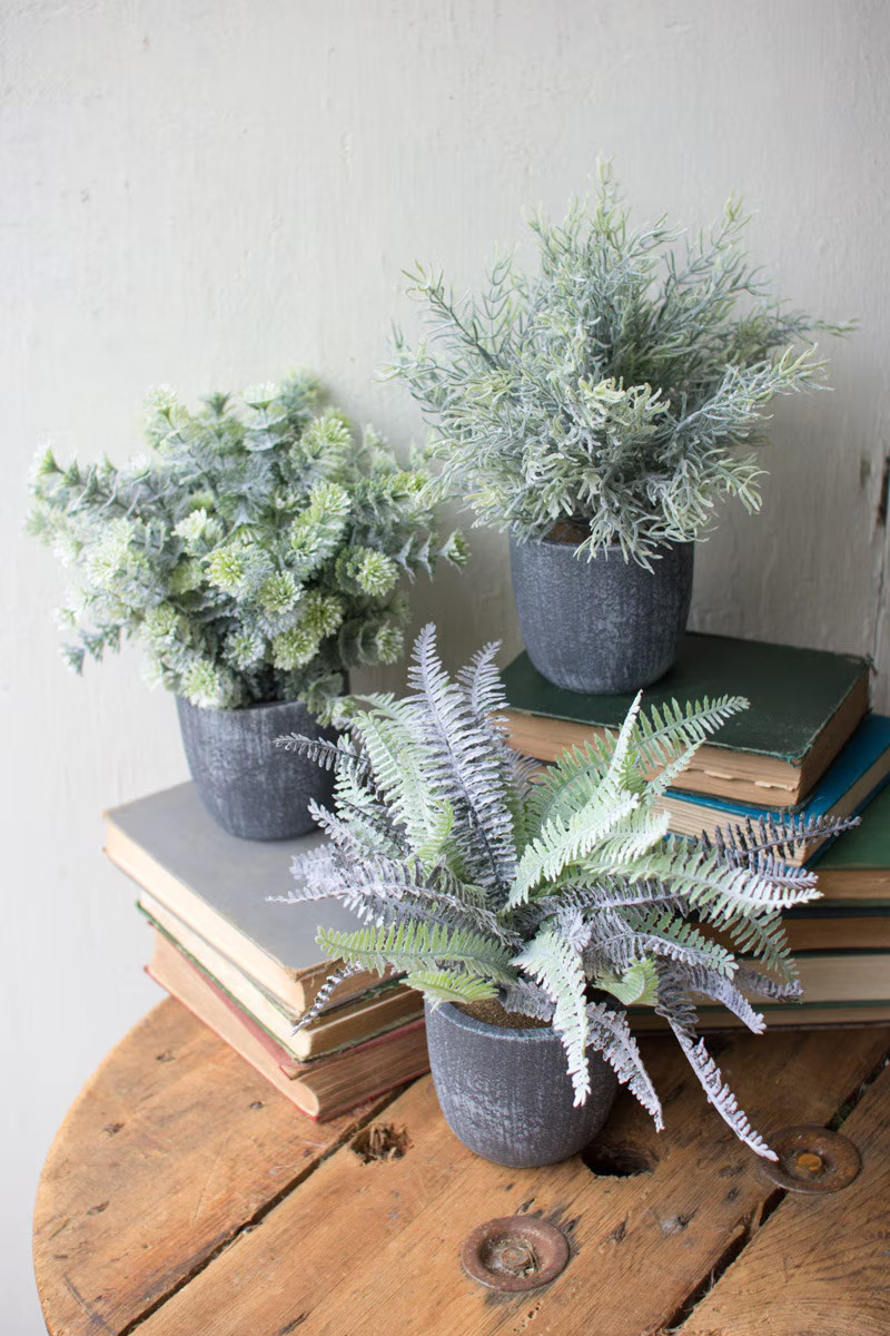 Set Of 3 Ferns With Round Grey Pots Perfect For Home Decor Brightens Your Room