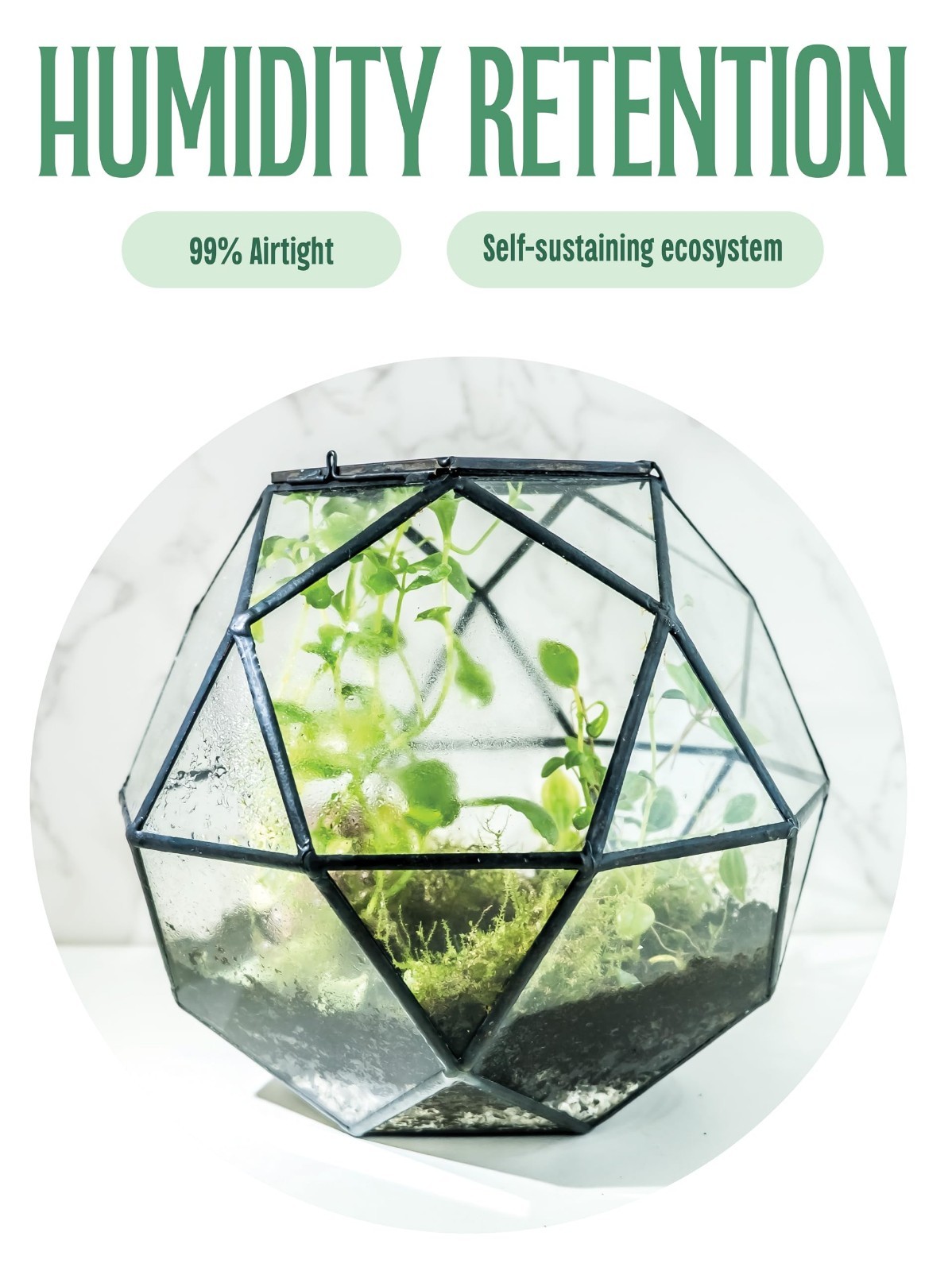 Clear Glass Terrarium with Door – Sphere Design Planter for Moss & Indoor Plants