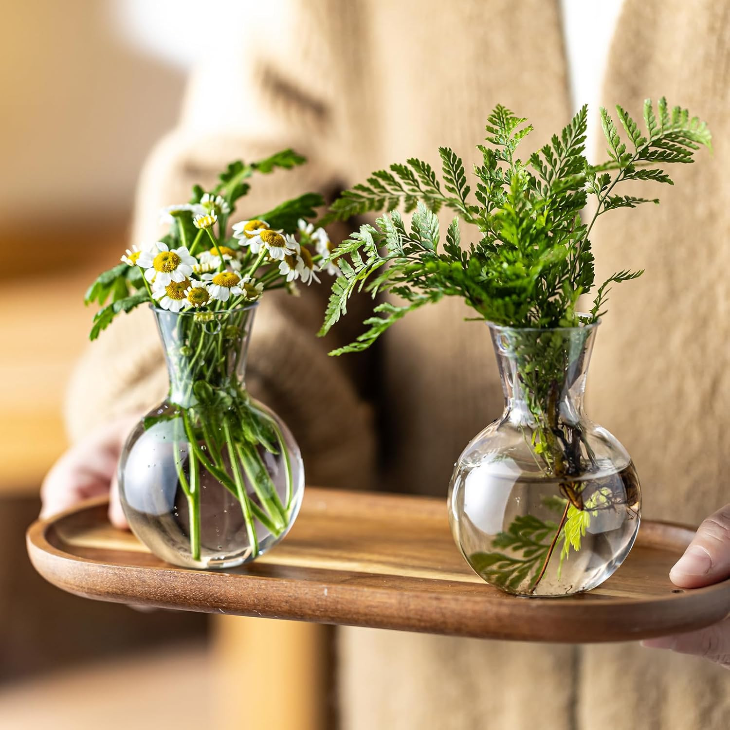 Plastic Propagation Vases (4 Bulbs),Desktop Plant Terrarium for Indoor Plants –