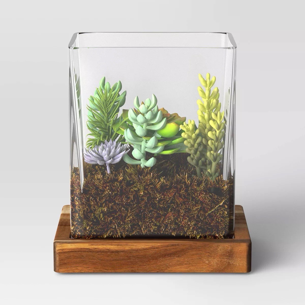Threshold Small Glass Terrarium Wood Base 7.2×5.24×8″ Natural Décor New