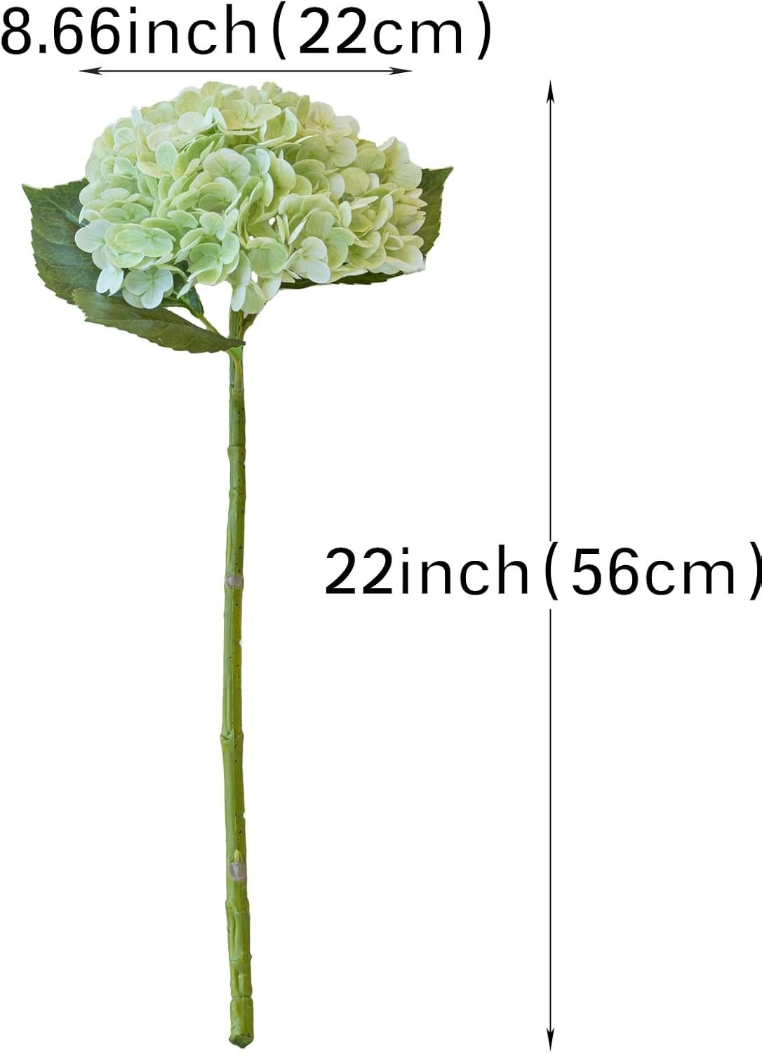 Real Touch Light Green Hydrangea Flowers Set | 22-inch for Weddings & Home Decor