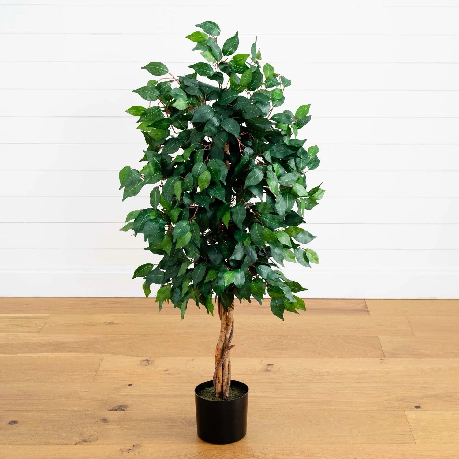 4′ Artificial Ficus Auriculata Tree with natural Trunk.