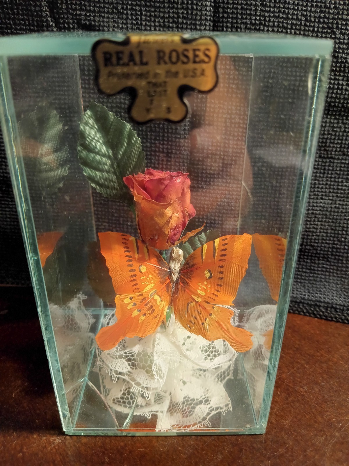 Lifesake Flowers Preserved Real Rose Glass Display ( No Base ) FREE SHIPPING