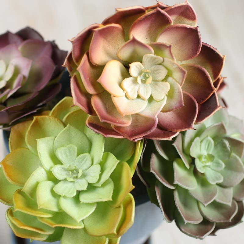 Package of 8 Artificial Hen and Chick 3-1/2″ Succulent Picks