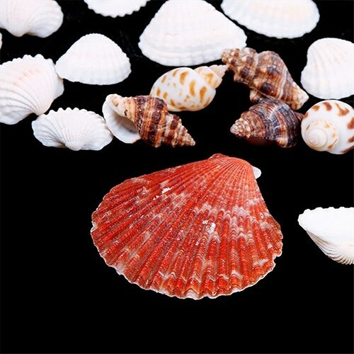 100g/bag Mixed Sea Beach Shells Crafts Seashells Home Party Deco Photo Props