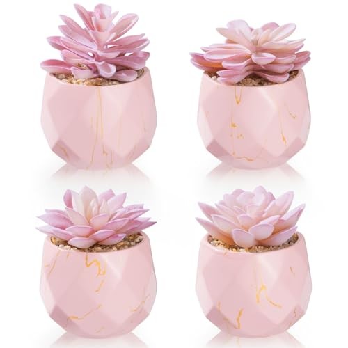 ZENIDA Artificial Succulent Plants in 4 Pink Ceramic Pots, Cute Fake Plants