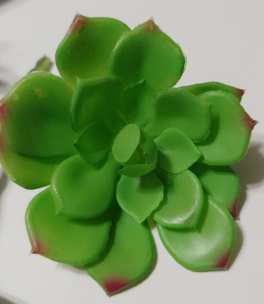 Lot of 16 Ashland Succulents Greenery Floral Picks Sizes 1.5″ to 11″ Craft Decor