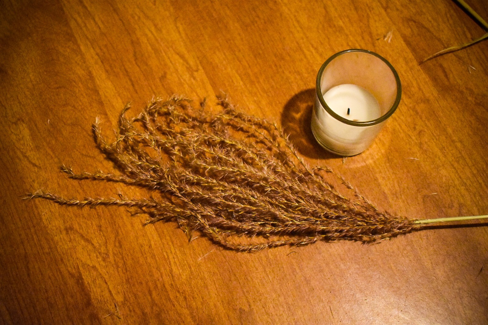 Dried Mountain Pompass Grass/ Boho Decor / Wedding decor / Home Decor