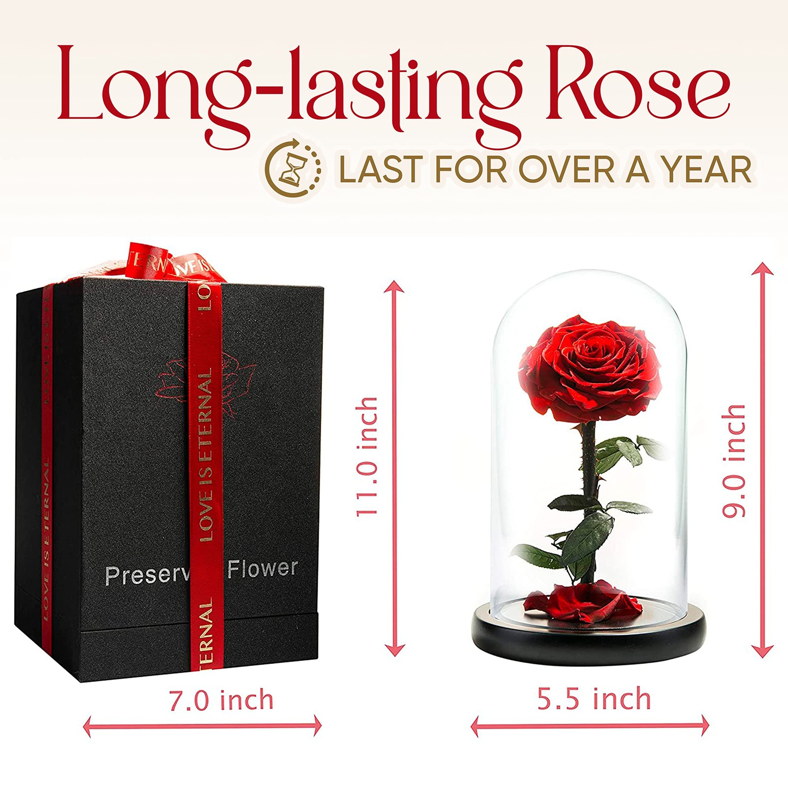 LOVAPPY Forever Preserved Rose – Eternal in Glass Dome – Medium, Red