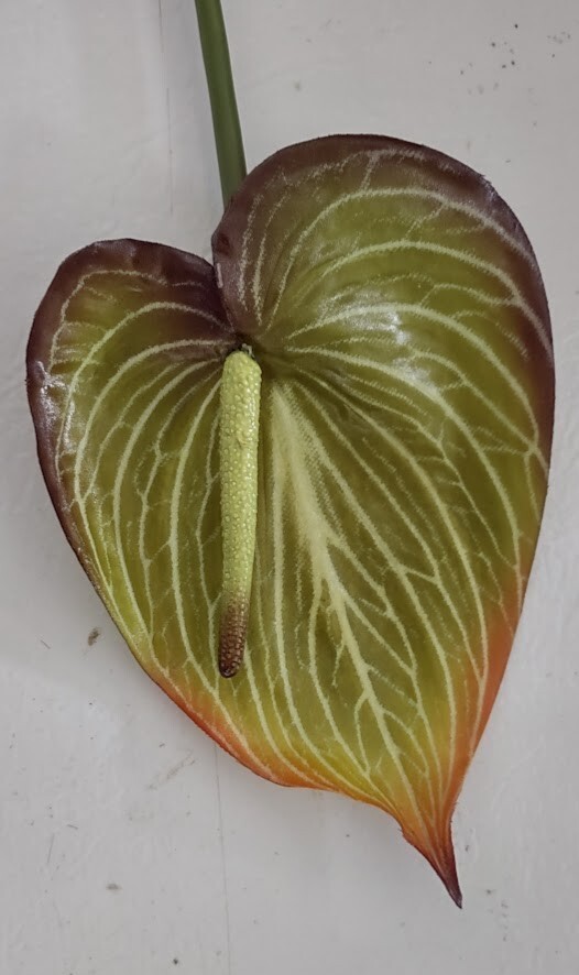 22″ Anthurium stem. Silk flower floral arrangements tropical Hawaiian flowers