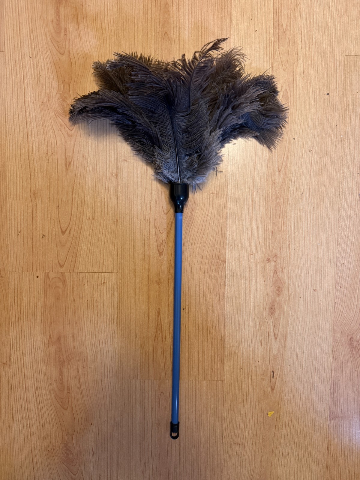 Economy ostrich feather duster 45cm plastic handle – janitor duster