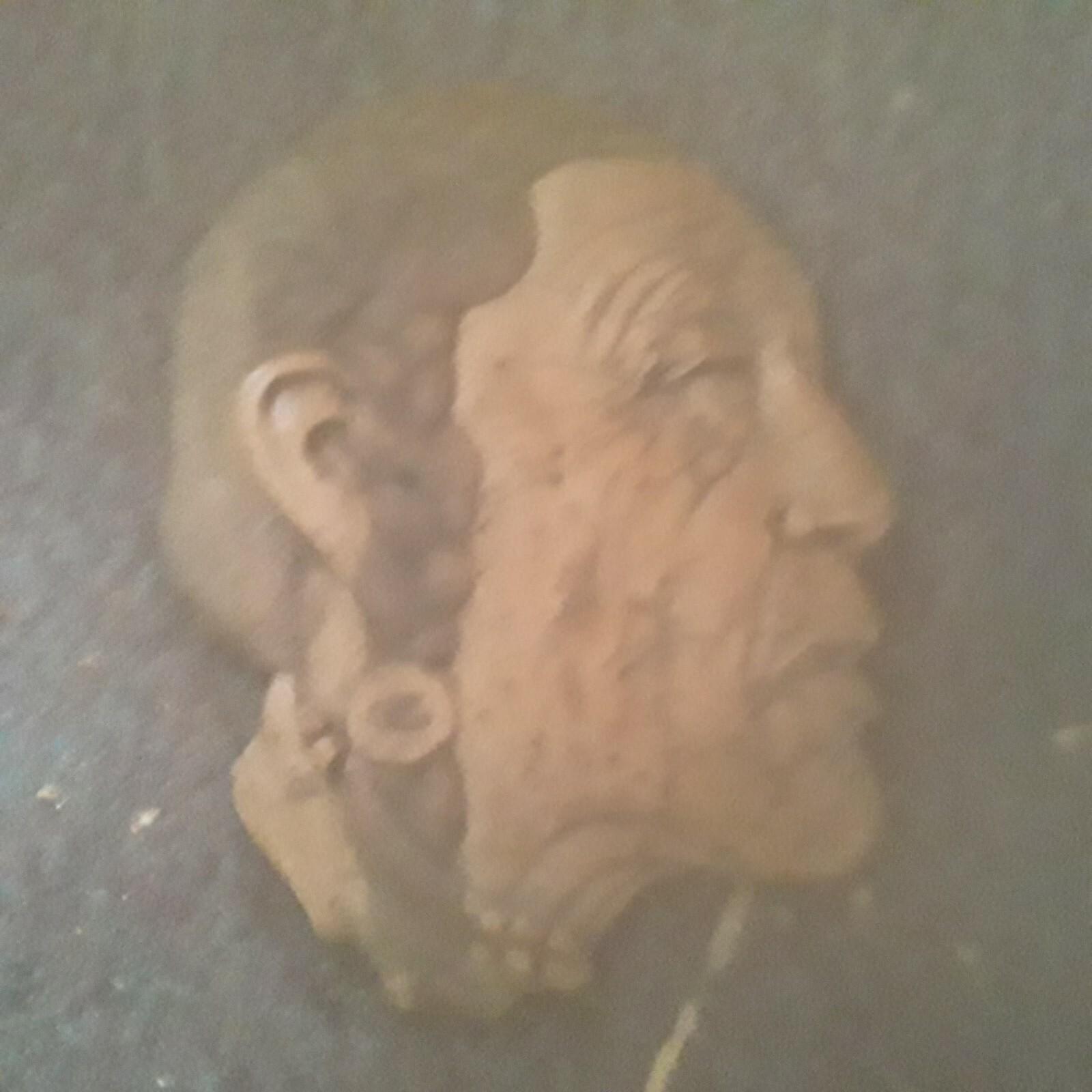 Home Decor Indian Heads $25/each both for $40.00