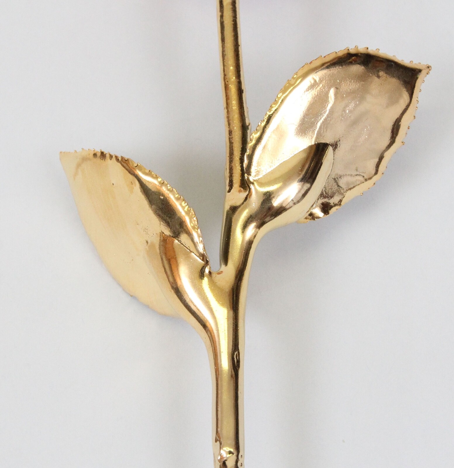 Lacquer Dipped Gold Trim Real Rose Flower 11.5″ Orangish Pink