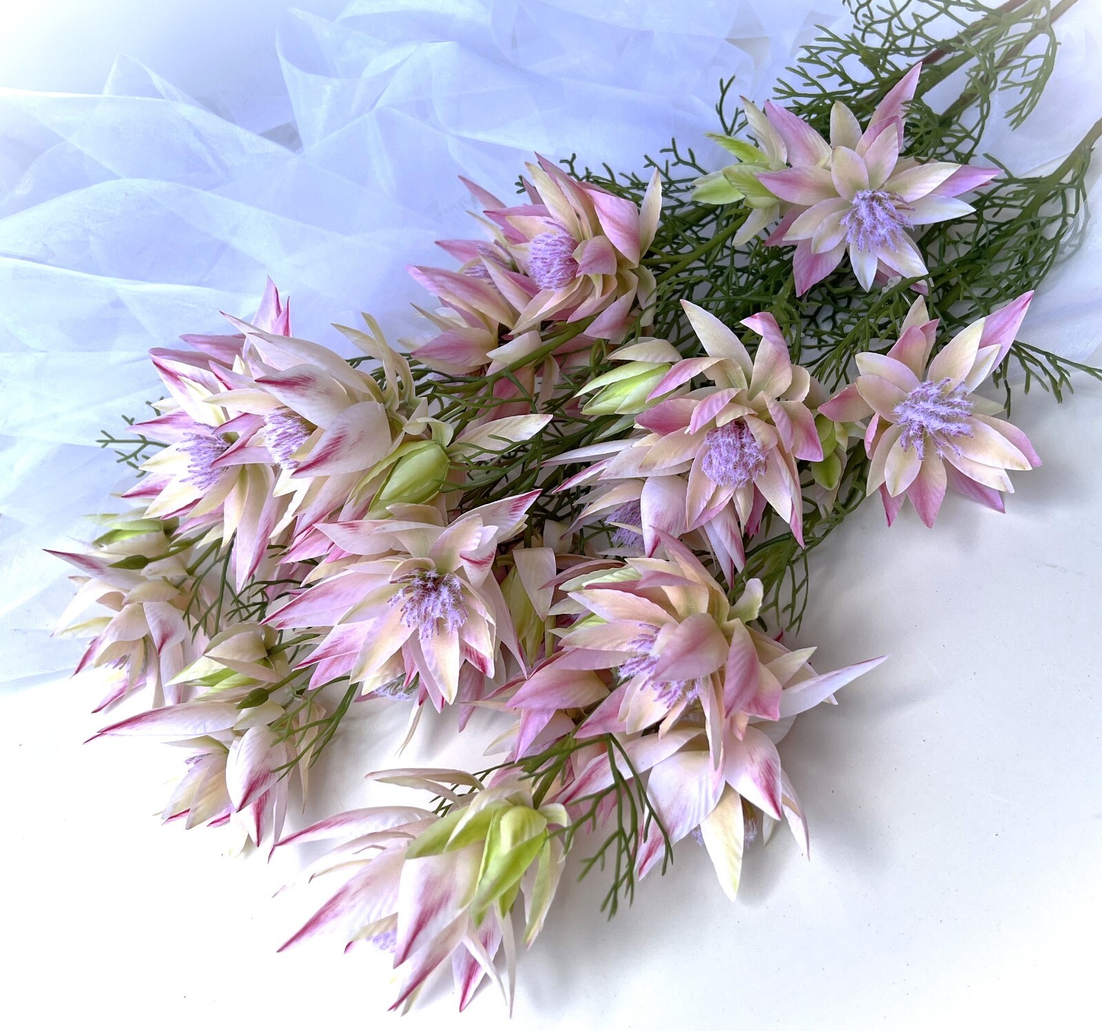 Australian Native Flowers Blushing Bride Flower Stem Pink Cream Faux Silk Stems