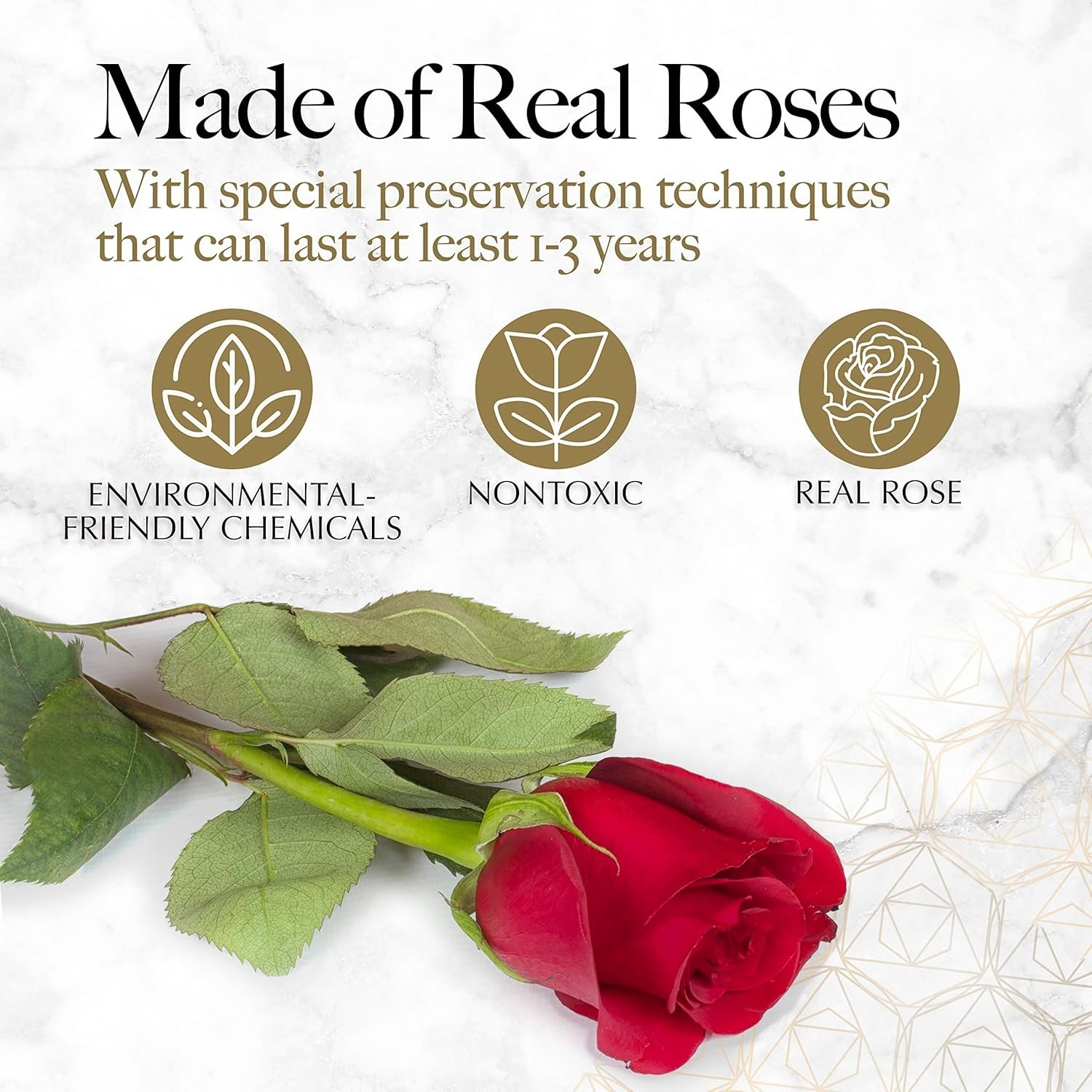 Preserved Flowers Bouquet – 27 Red Roses Gift for Her