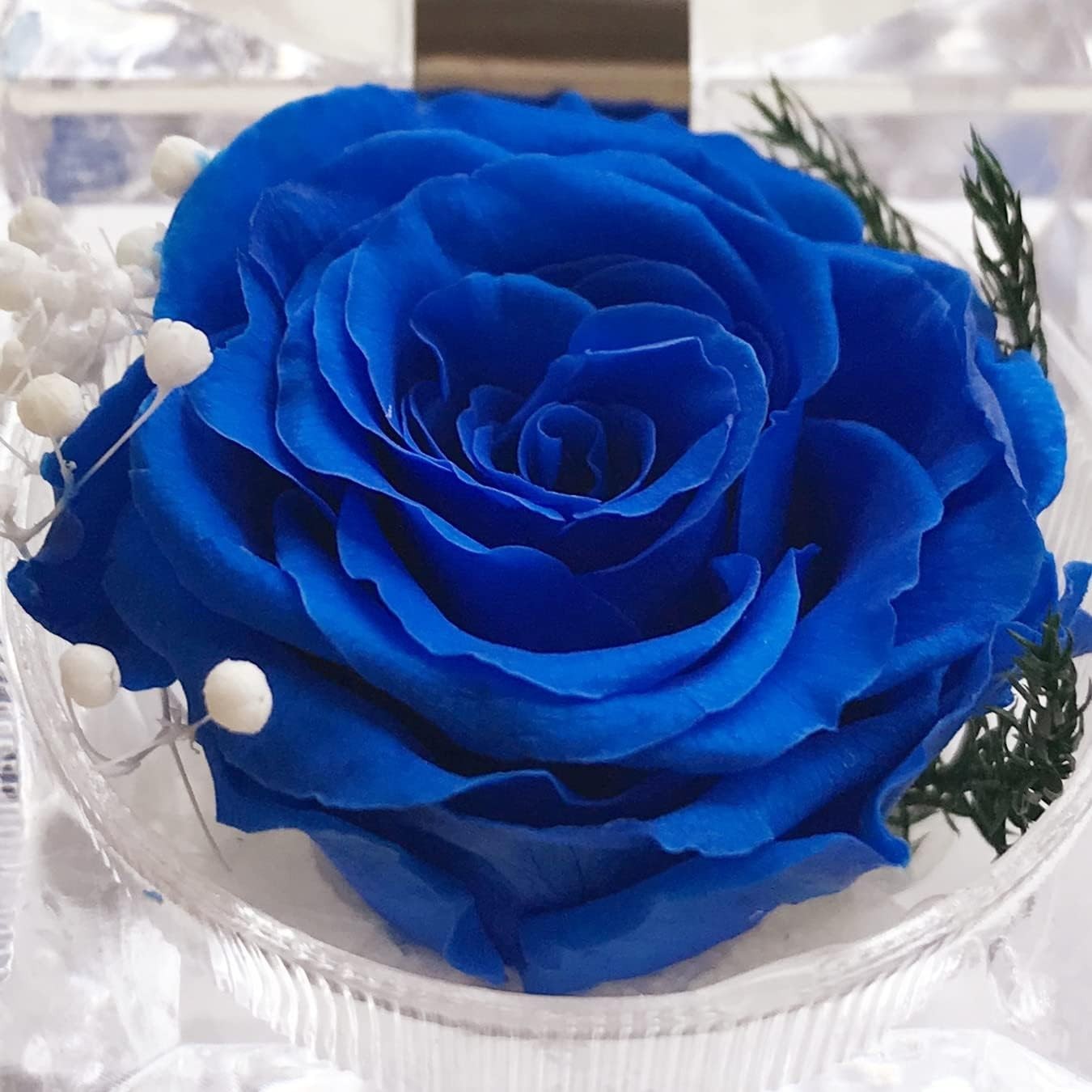Preserved Rose Real Forever Rose in Mini Clear Ring Box, Eternal Flower Rose Gif