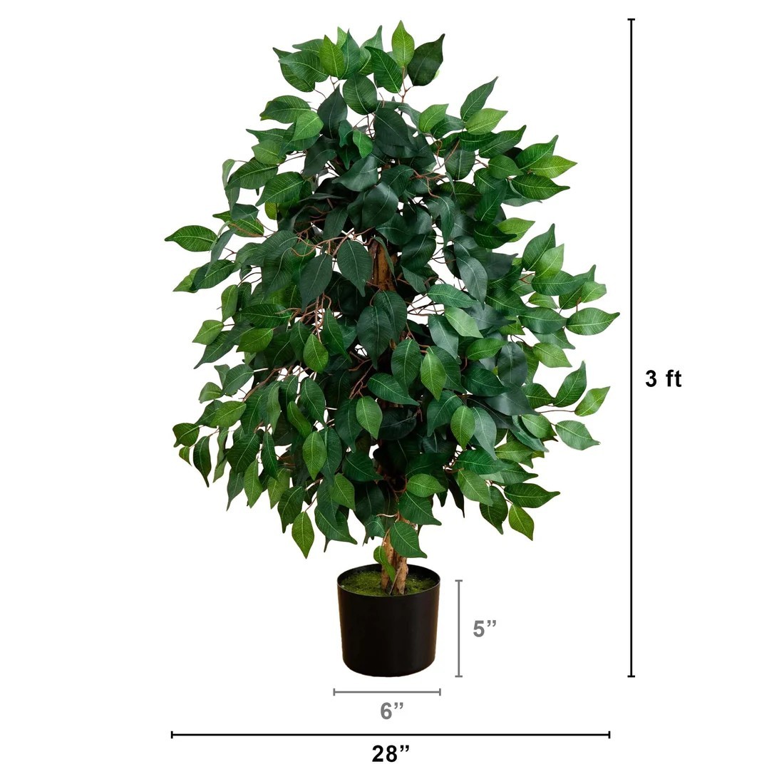 3′ Ficus Tree x 3 w/378 Lvs