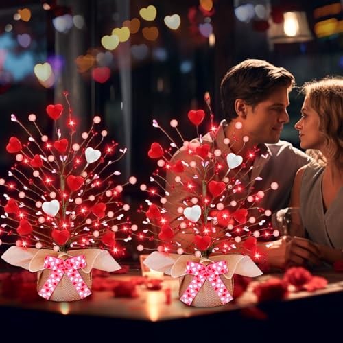Valentines Day Decorations,2 Pack Lighted Valentine’s Day Heart Lights Tree