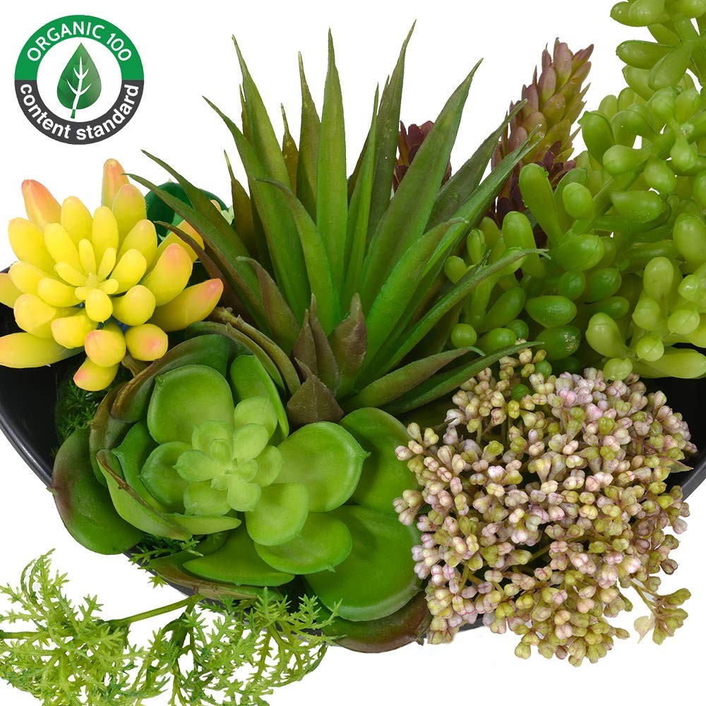 Artificial Succulents Plants, Fake Potted Plants – 7.2 Inch Faux Succulents, …