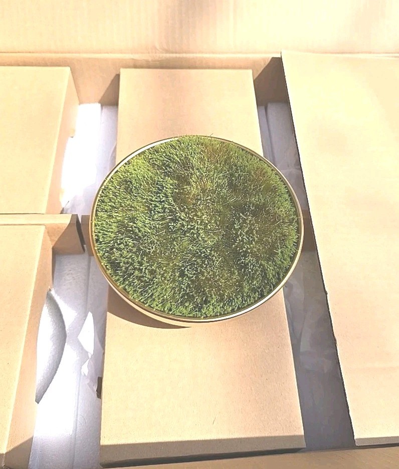 13023 Faux Floral Decor Moss in Gold Ceramic Bowl Indoor Tabletop New