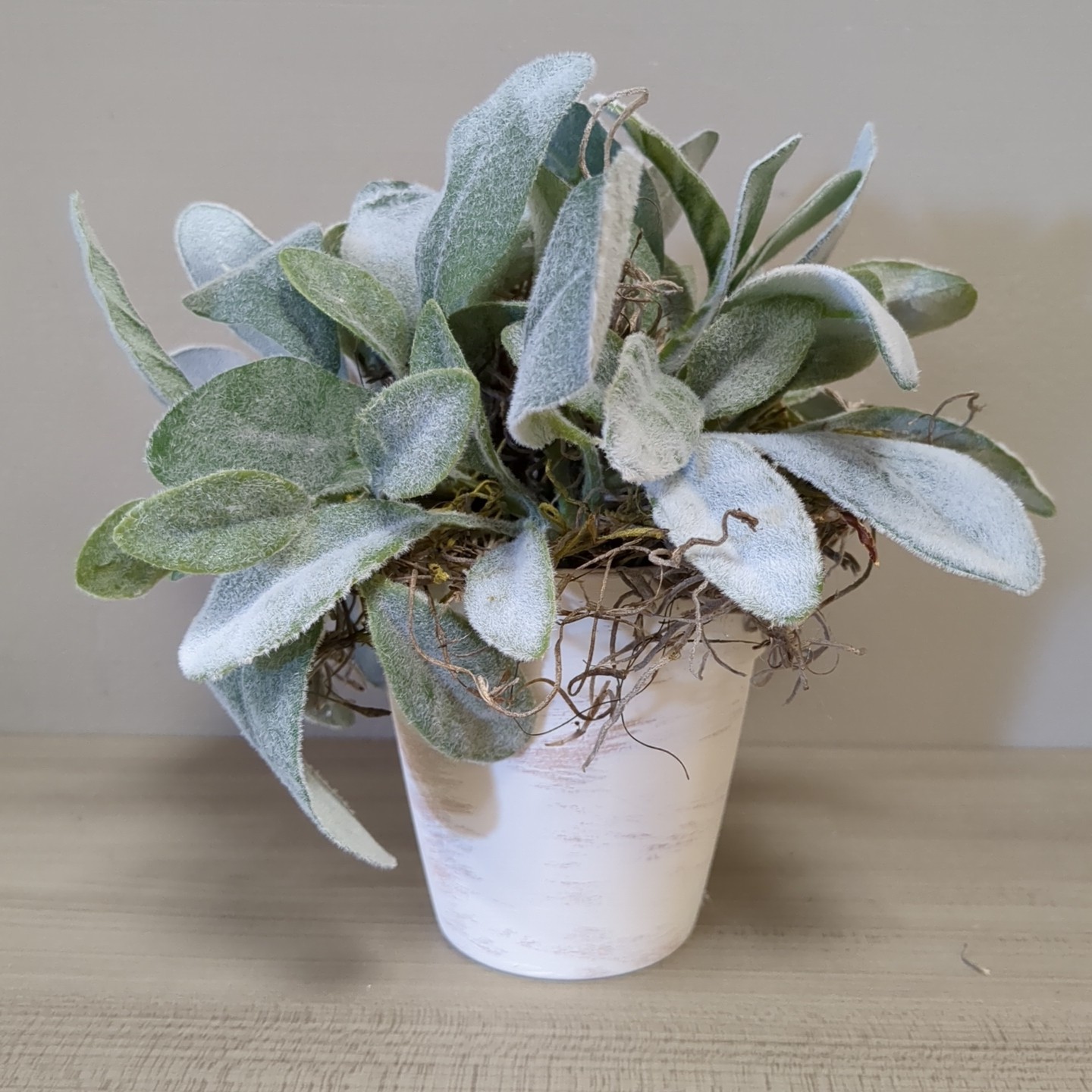 Spring Lamb’s Ear Topiary Shelf Sitter Decor