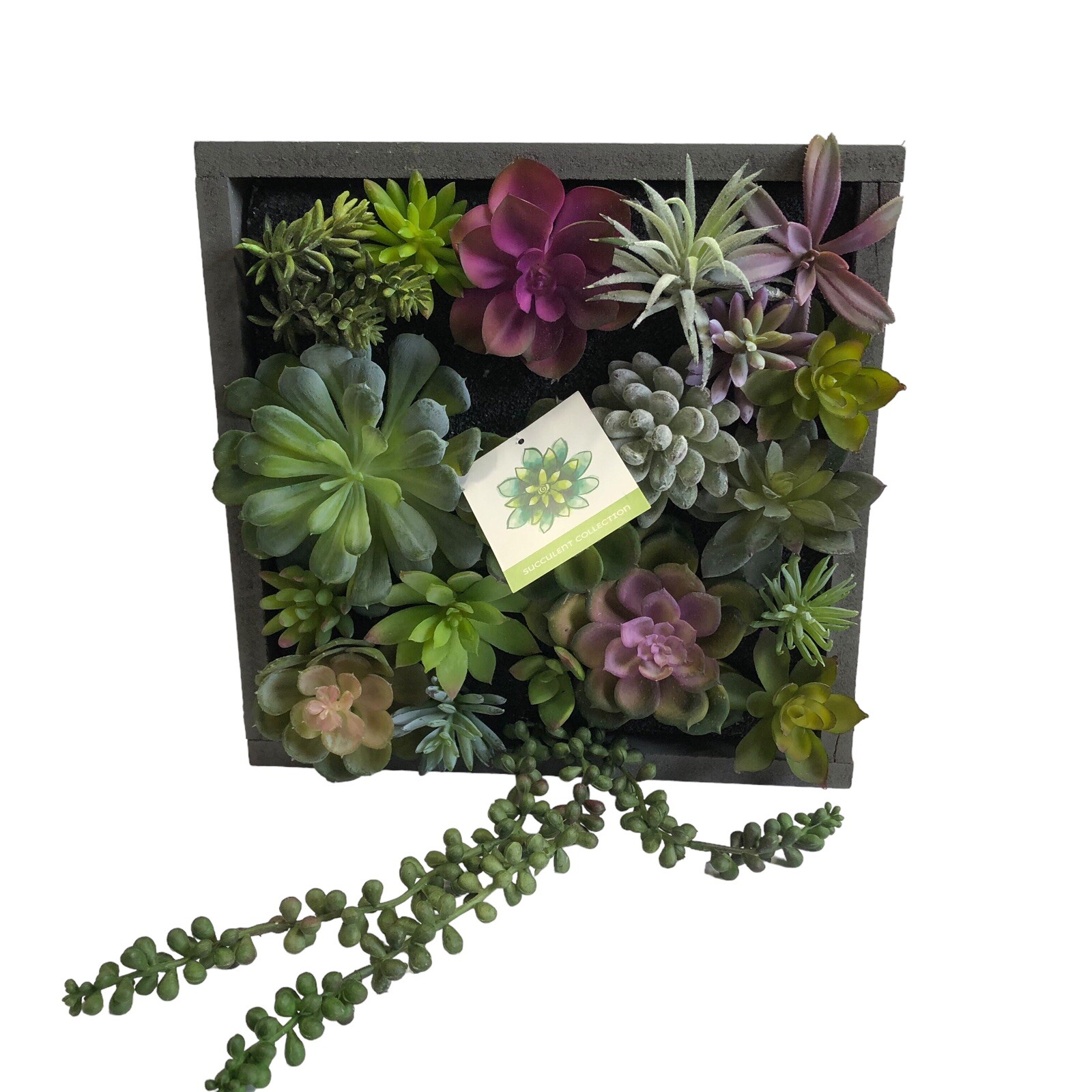 WALL OF FAUX SUCCULENT Cactus in Gray Wood Box Decor Display 12x12x3 inches New