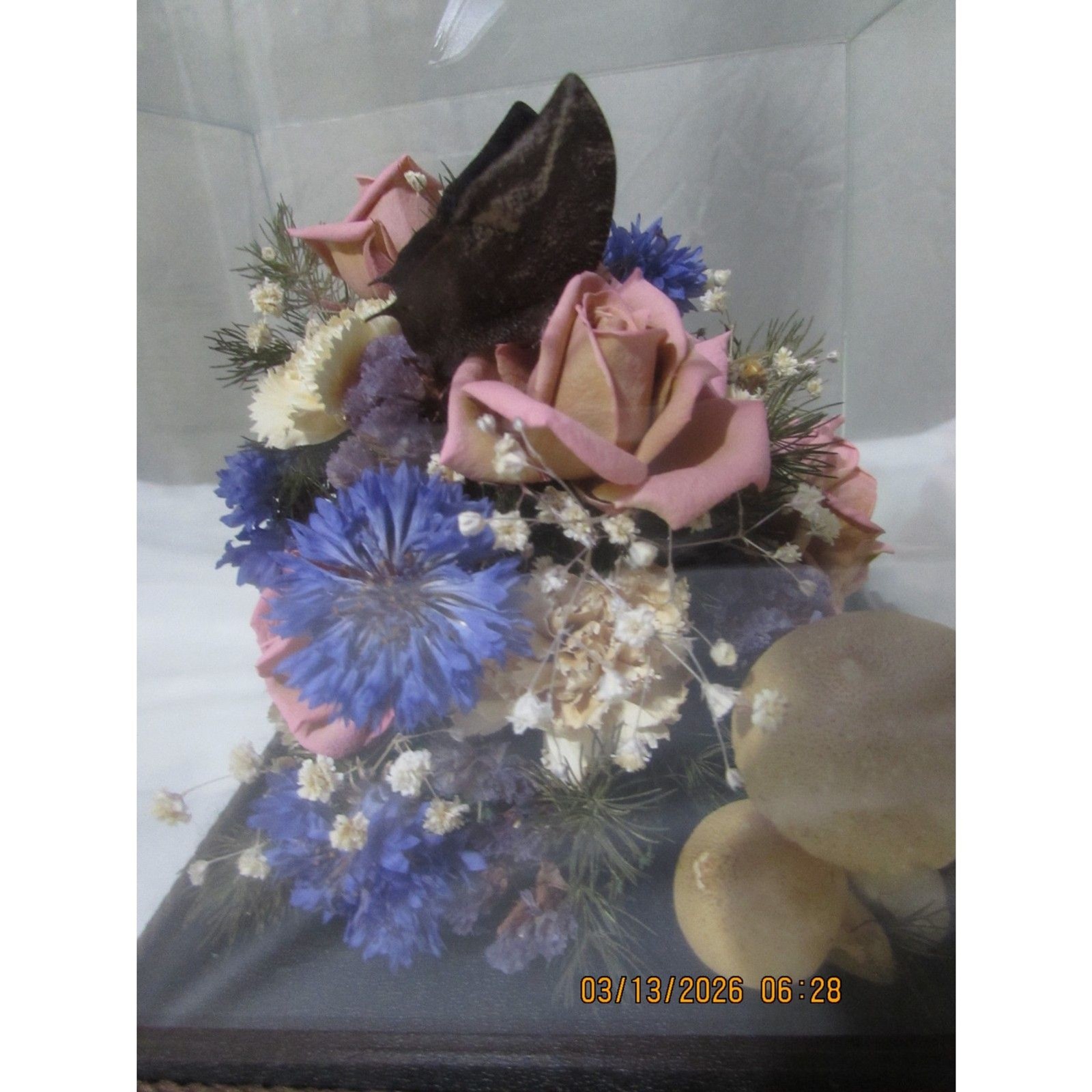 Vintage dried flower arrangement in glass with wood base butterfly mushrooms