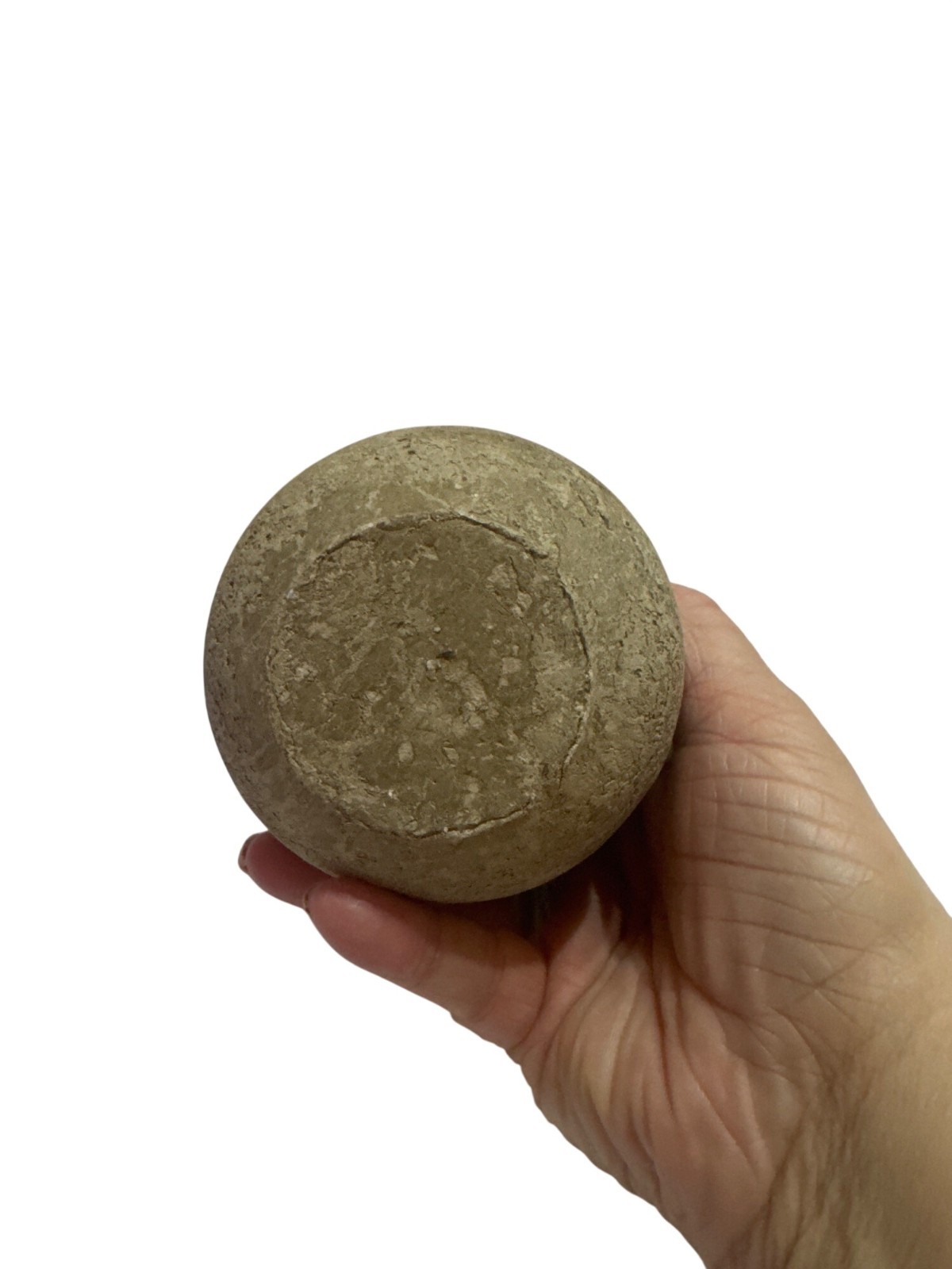 Artificial Green Grass Plant Decorative Faux Shrub Brown Textured Round Pot
