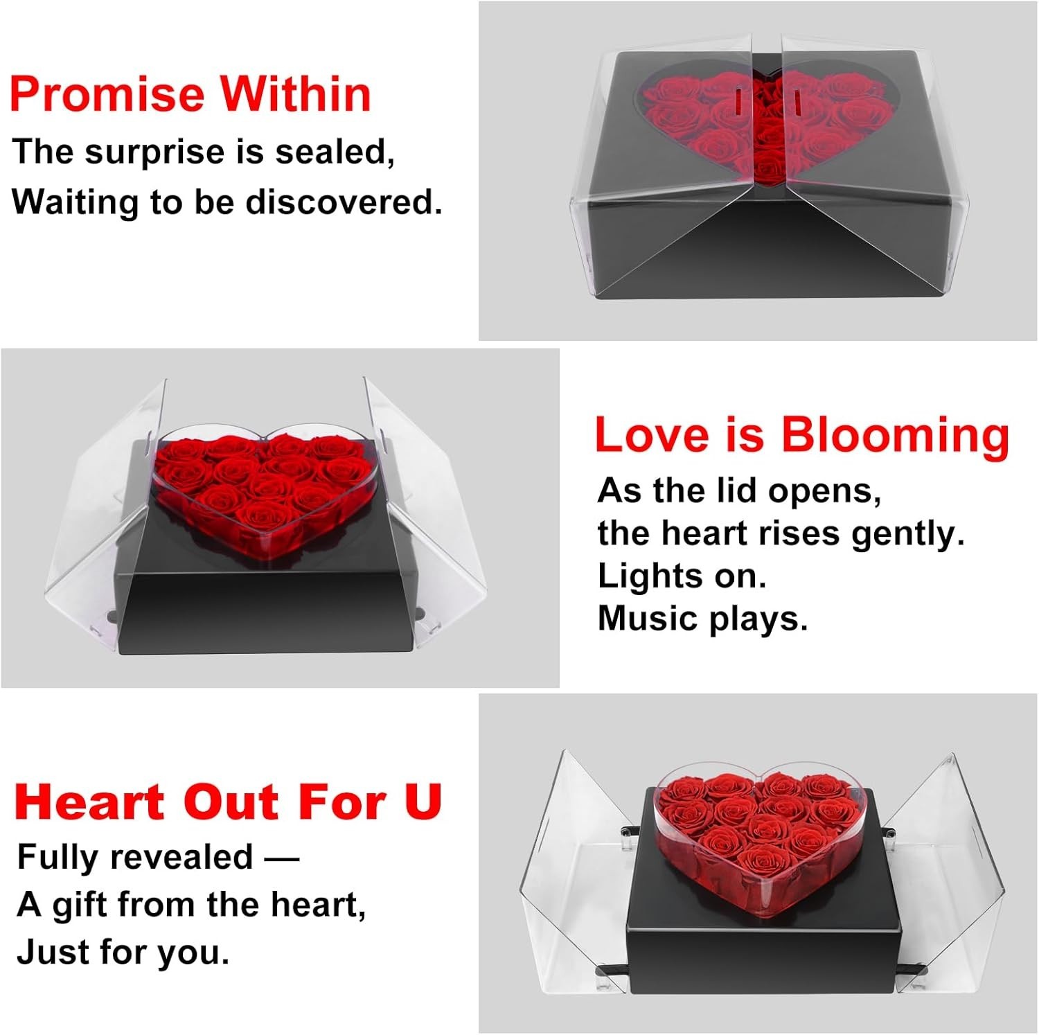 Forever Flowers Preserved Roses In A Box – Eternal Flowers – Preserved Flower…