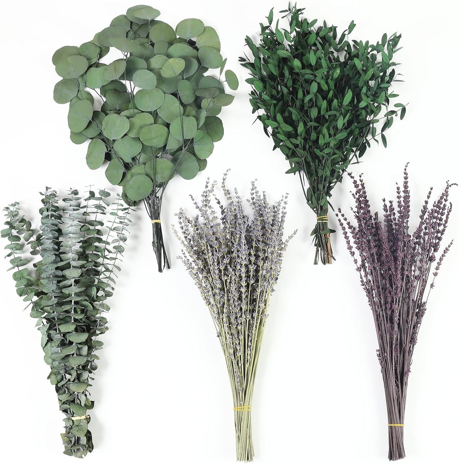 120+ Pcs Mixed Dried Eucalyptus & Lavender Flowers for Shower, Preserved Natu…