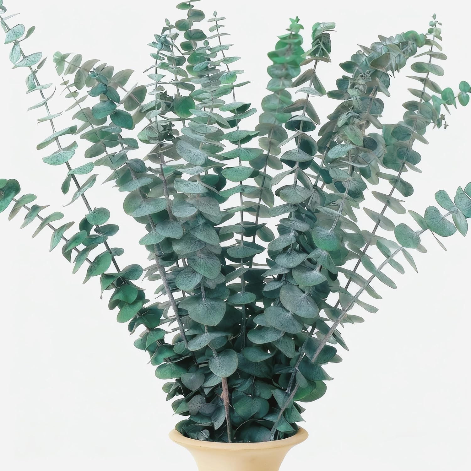 16 Pcs Dried Eucalyptus Stems, 17″ Real Preserved Eucalyptus Bouquet for Wedd…