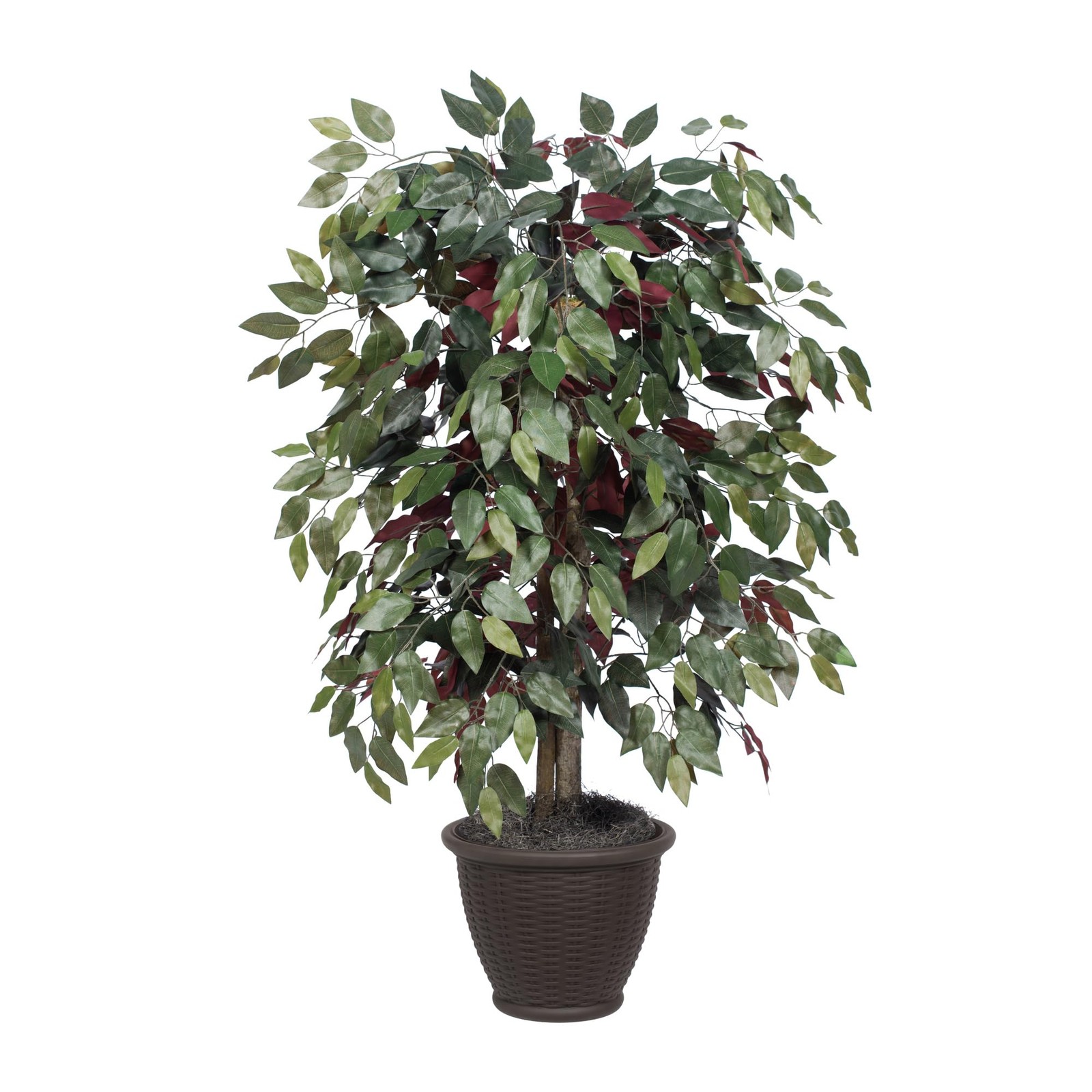 Vickerman 4′ Artificial Capensia Bush. Gray Square Plastic Container