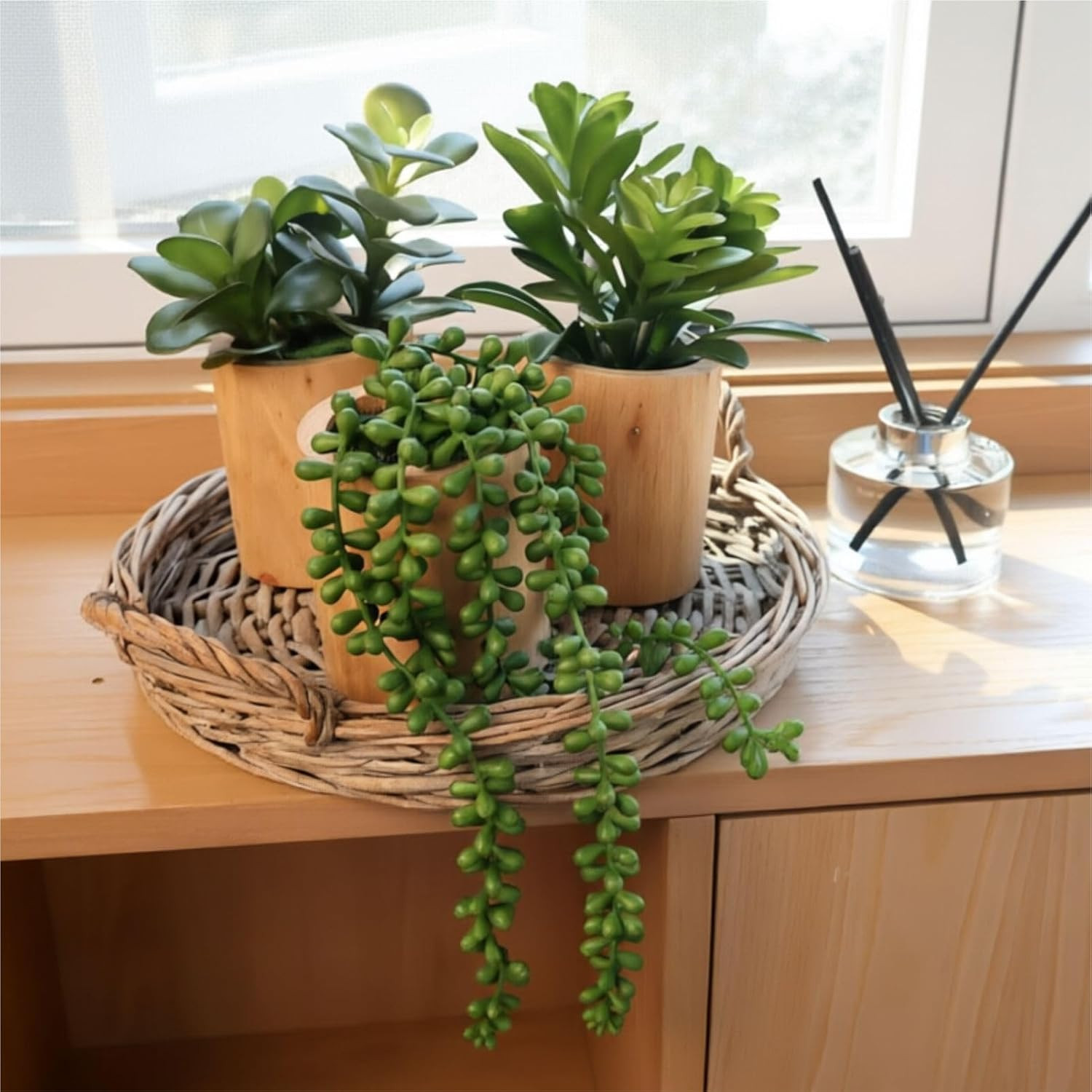 Set of 3 Artificial Succulents in Wooden Pots for Home & Office Decor
