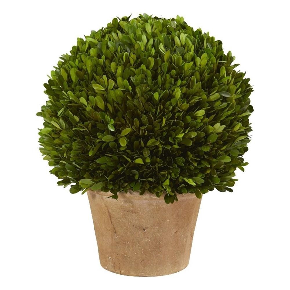 Nearly Natural 15″ Boxwood Ball Preserved Plant in Planter in Green