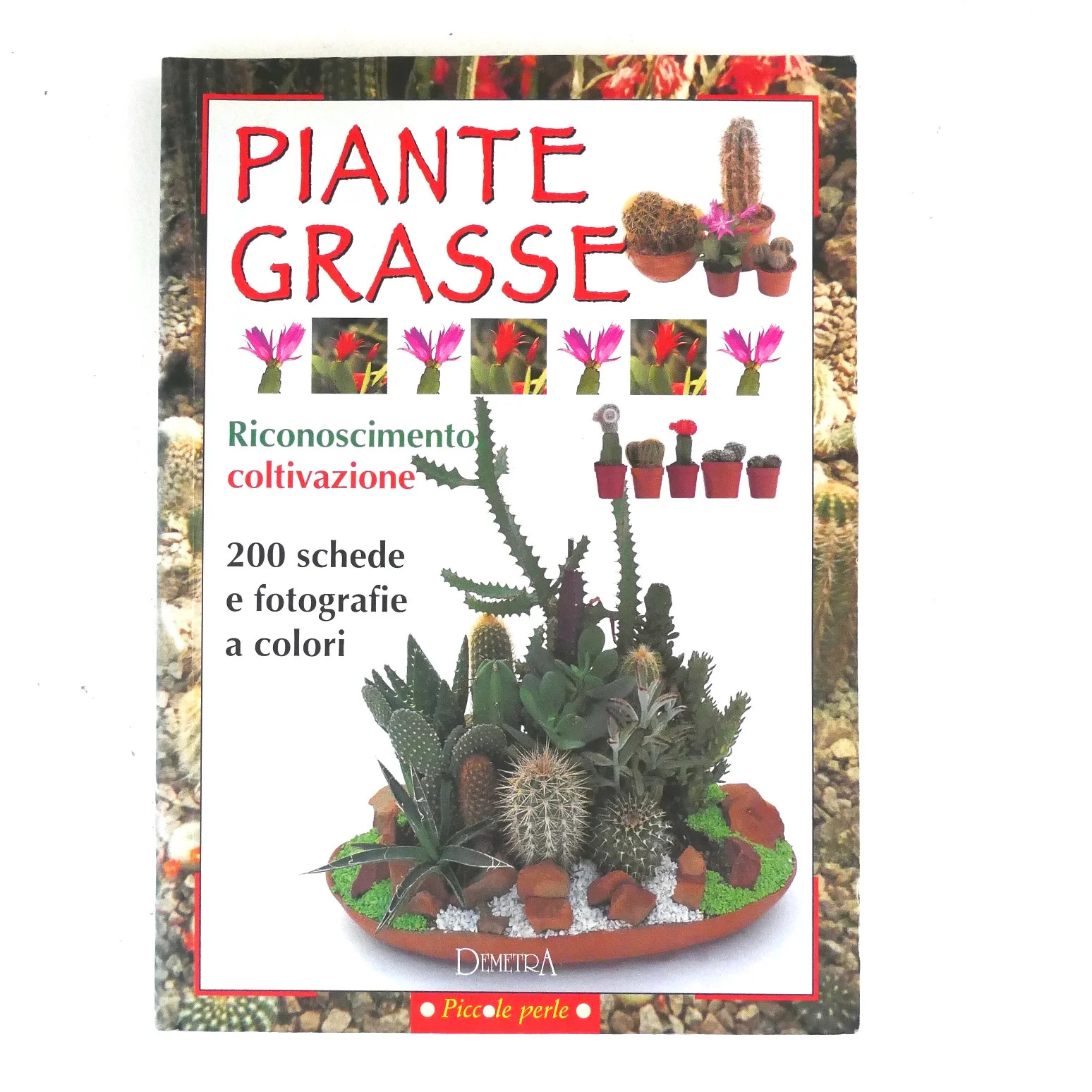 Piante Grasse Riconoscimento e Coltivazione –