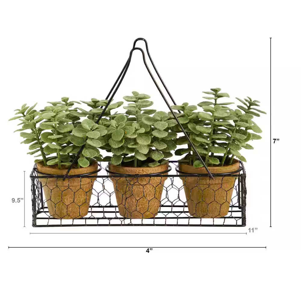 7 In. Artificial Mini Jade Garden Plant in Hanging Planter