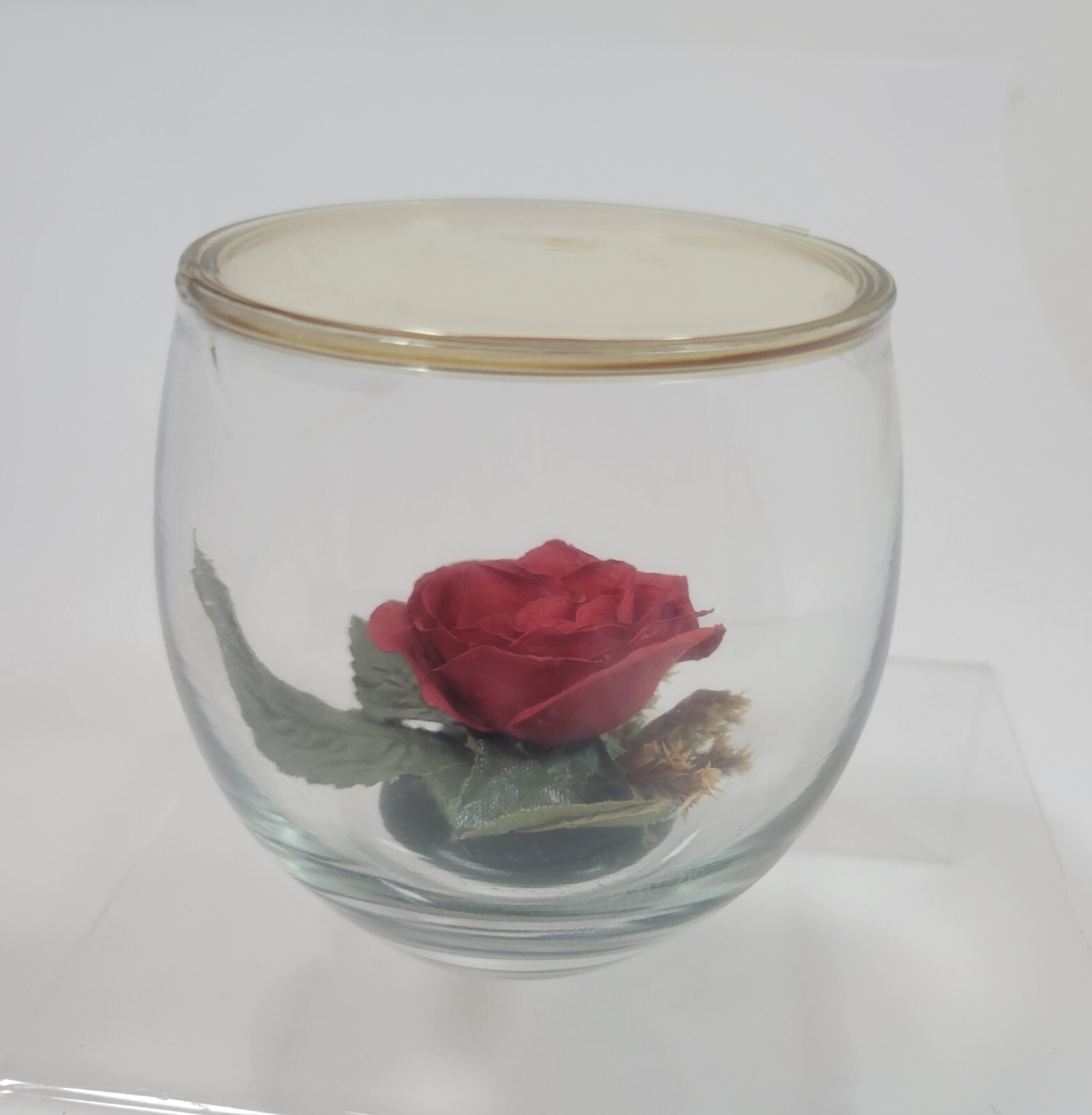 Valentine’s Day Preserved Roses Red Roses Preserved Flower Rose Gift in Glass