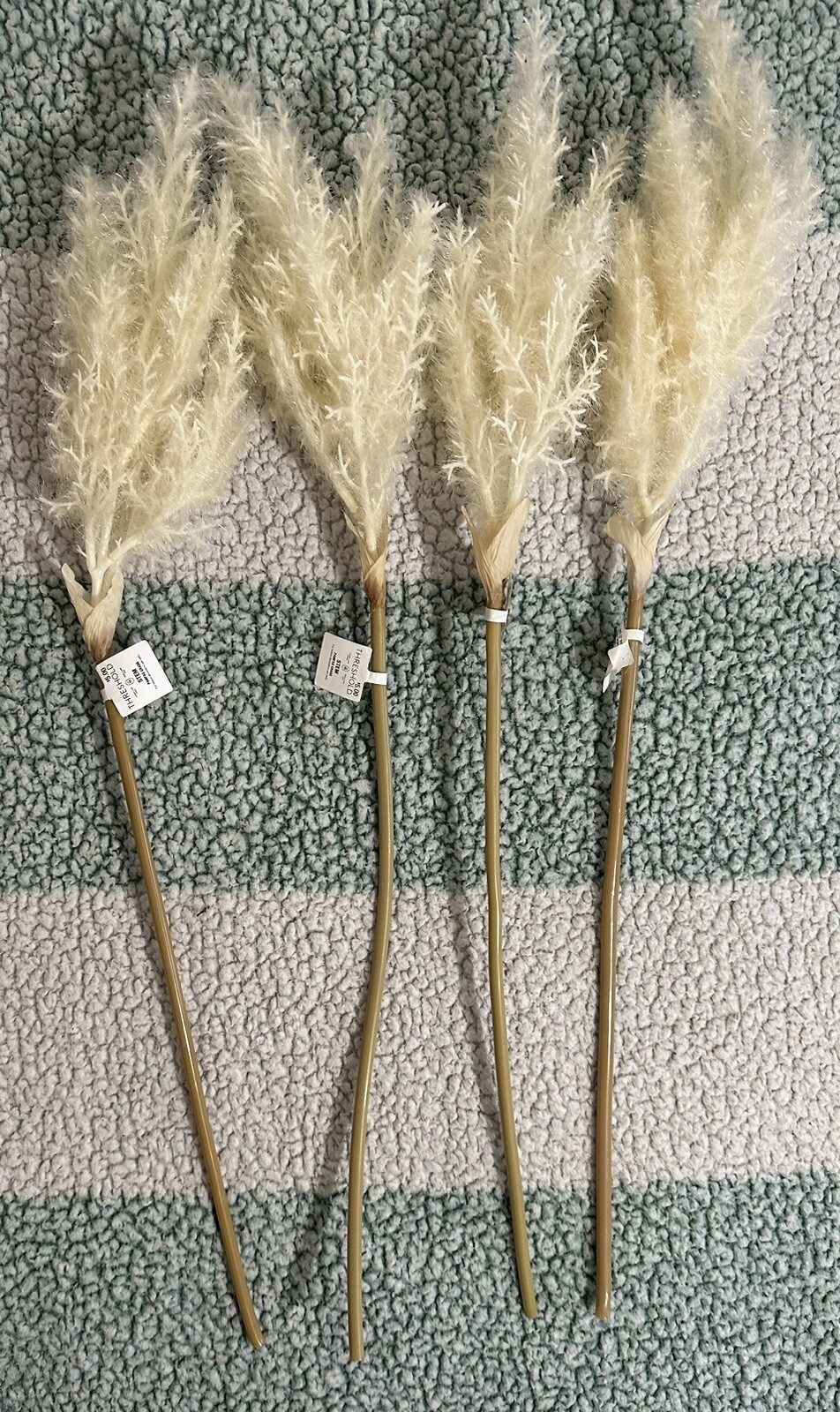 STEM PAMPAS GRASS For indoor decorative use Lot Of 4