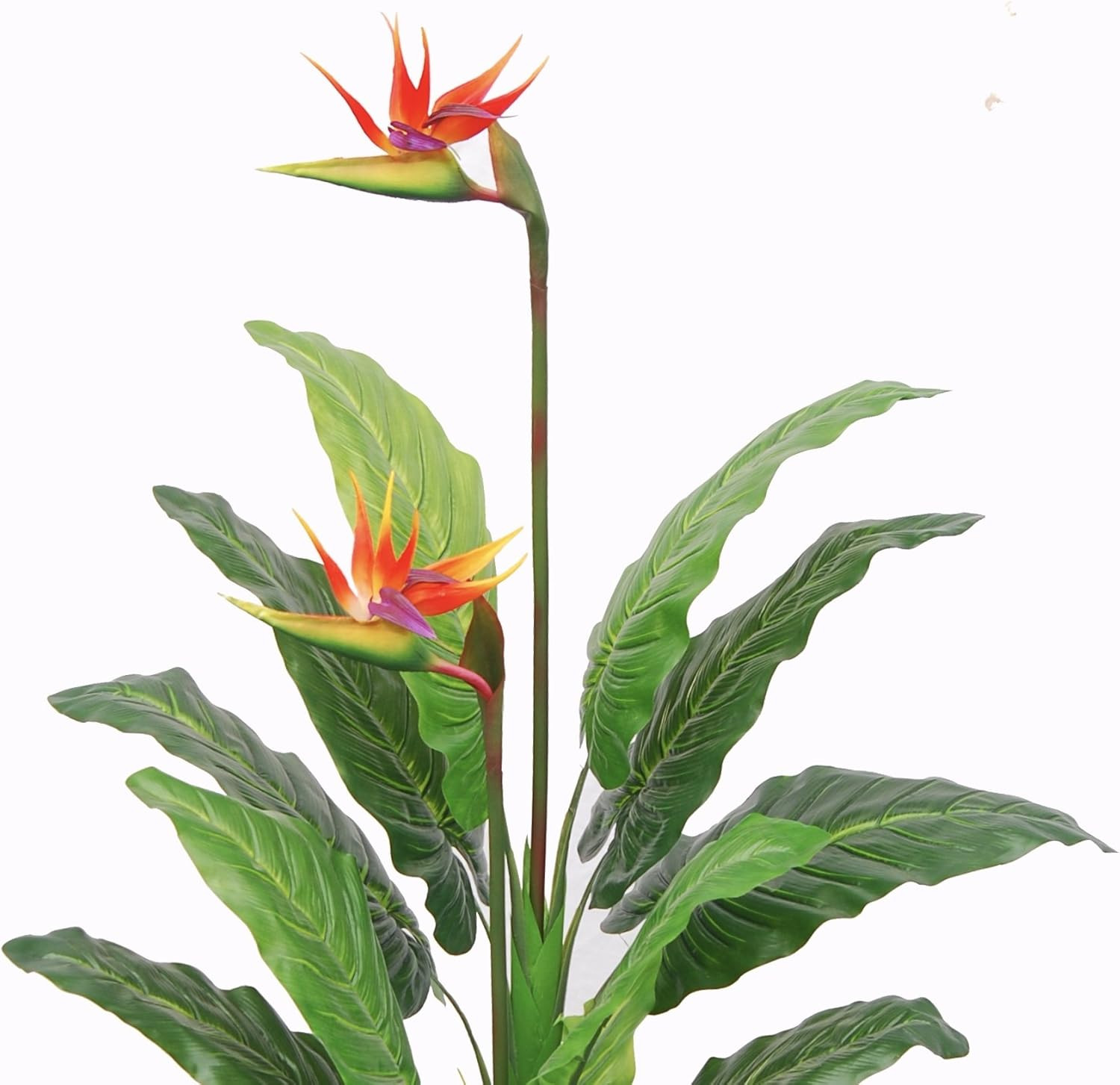 Stunning 5′ Paradise Bird Flower Plant – Real Touch, UV Protected, Indoor/Outdoo