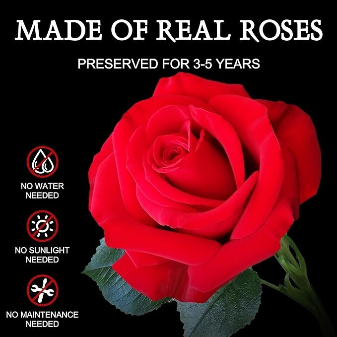 Forever Preserved Roses in a Box – Romantic Gifts for Her – Long Lasting Flowers