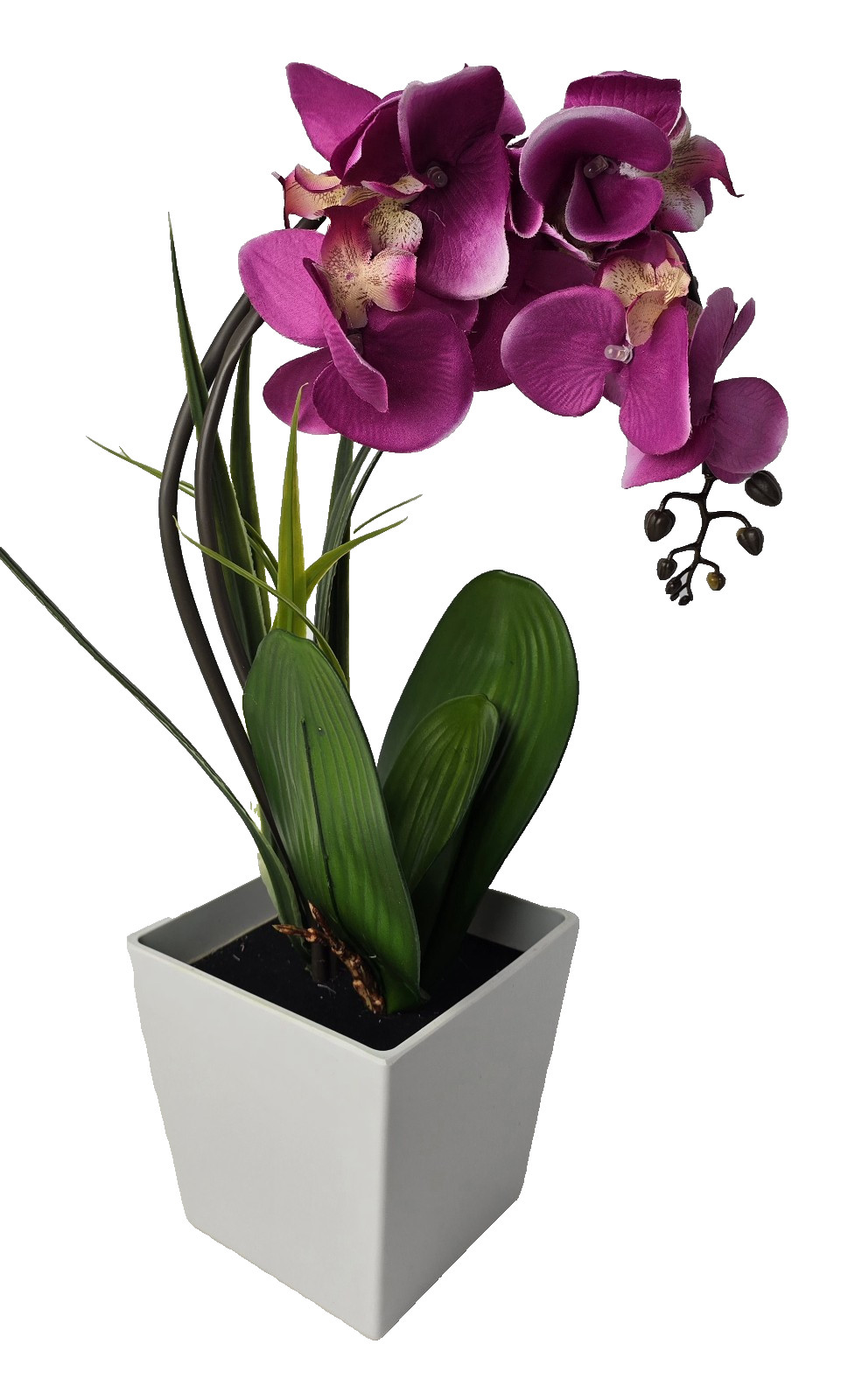 NEW Homeseasons Artificial Orchid w/ LED Lights & Timer 16″ Tall Original Box