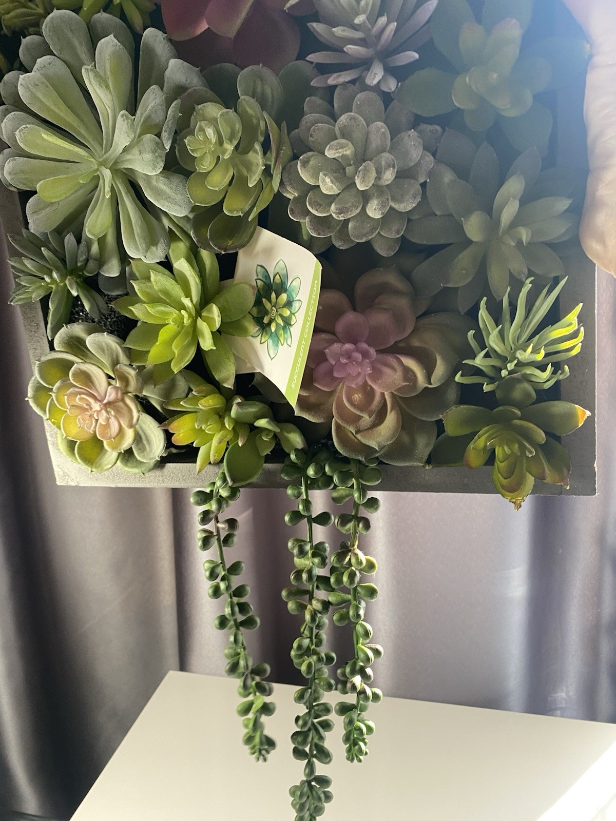 WALL OF FAUX SUCCULENTS in Gray Wood Box Decor Display 12x11x3 inches Art