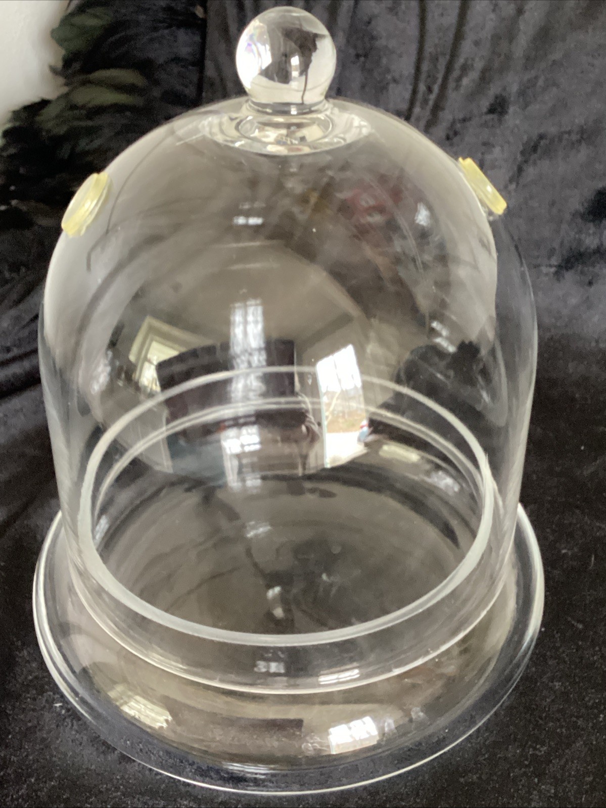 7×7 inches Glass Cloche and Base Small Terrarium with 2 Air Holes Display Case