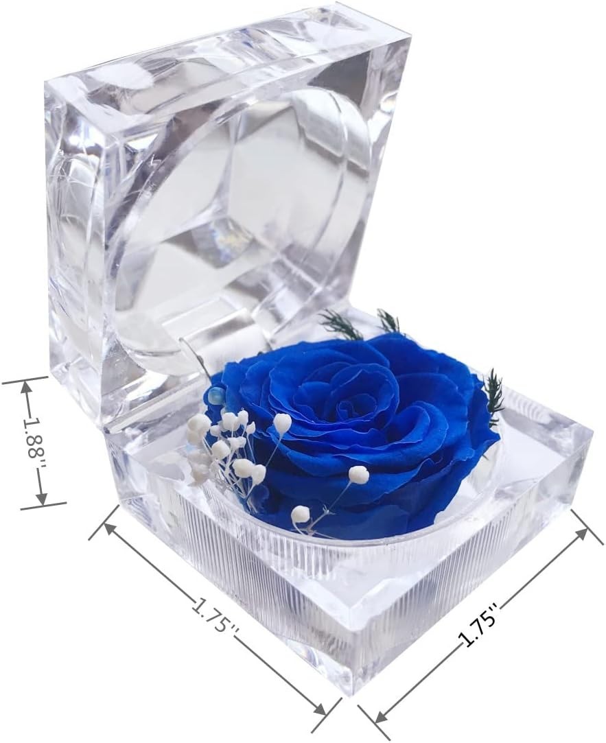 Preserved Rose Real Forever Rose in Mini Clear Ring Box, Eternal Flower Rose Gif